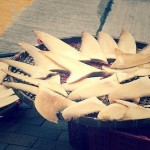 fins to dry