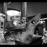 Dead porbeagle shark at a fish market. Photo: Pfig/Flickr.