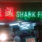 shark fin trade