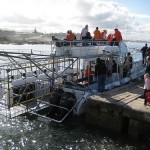Shark cage diving in Gansbaai, South Africa