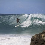 surfing the gold coast