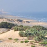Ashdod coastline, Israel. Photo: Flickr Creative Commons/Orientalizing.