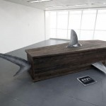 shark coffin