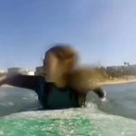 surfer films shark