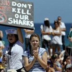 Protests against Shark Cull on Australia's beaches. Photo: Facebook