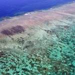 great barrier reef