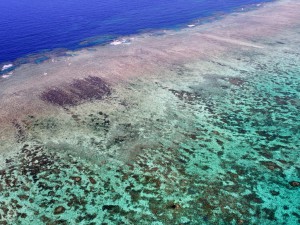 great barrier reef