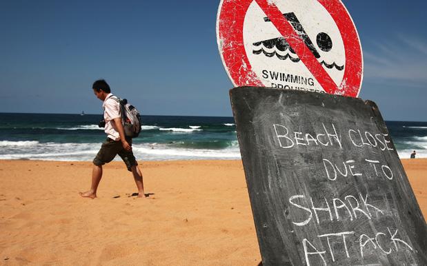 beach sign shark attack
