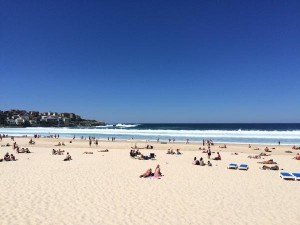 Everyone out of the water at Bondi Beach. Photo: twitter/Luke Dennehy.