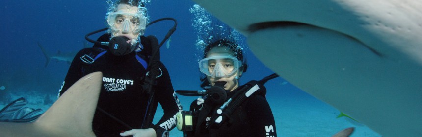 Shark diving in the Bahamas. Photo: Dan Theurer/Flickr Creative Commons