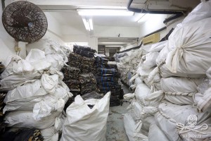 Shark fins in a Hong Kong warehouse. Photo: Sea Shepherd.