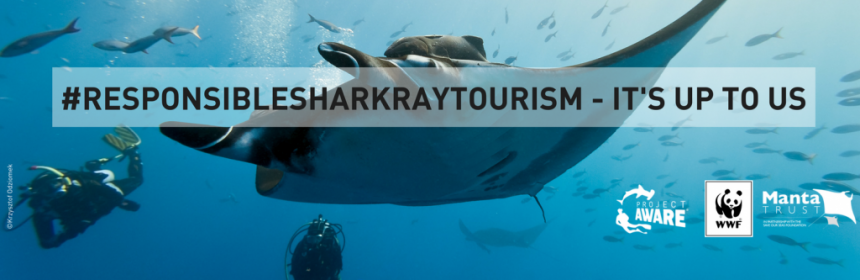 SnRTwitter_MantaRay_Krzysztof-Odziomek-1024x341