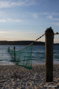 Traditional shark nets in Sydney.