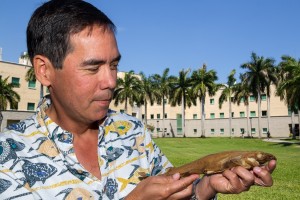 Stephen M. Kajiura, Ph.D., study co-author, a professor of biological sciences and director of the Elasmobranch Research Laboratory in FAU's Charles E. Schmidt College of Science shows the newly discovered shark.