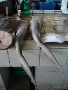 shark meat photo: laura davies flickr creative commons