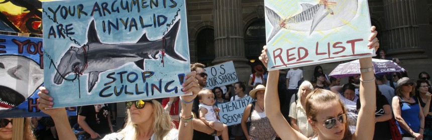 anti culling