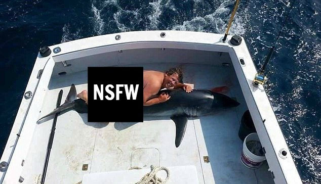 jimmy-johns-dolphin