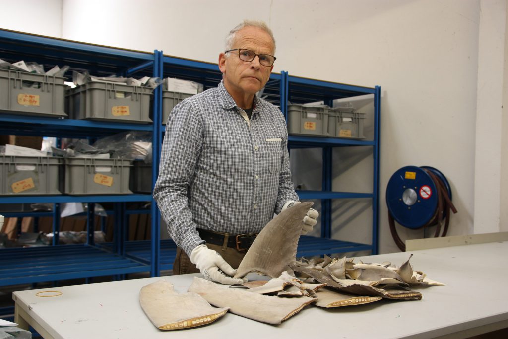 Export officer Bart Langeveld shows the dried shark fins at Schiphol airport.