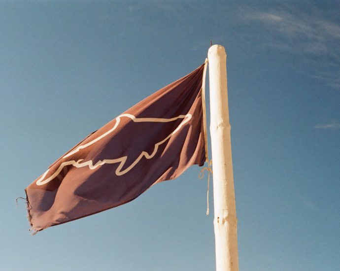 Shark flag. Photo: Philippe Rose/Unsplash.