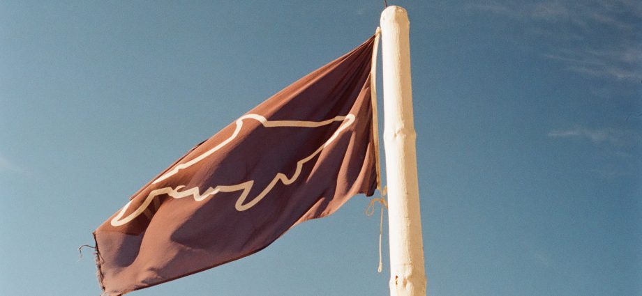 Shark flag. Photo: Philippe Rose/Unsplash.