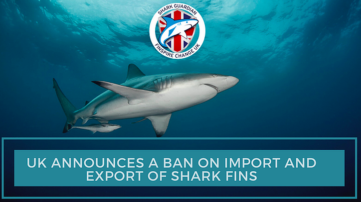 Ban Shark Fin Soup - Bite-Back